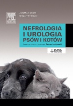 nefrologia-i-urologia-psow-i-kotow.jpg