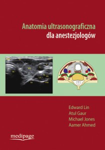 anatomia-ultrasonograficzna.jpg