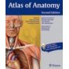 atlas-anatomy-2.jpg